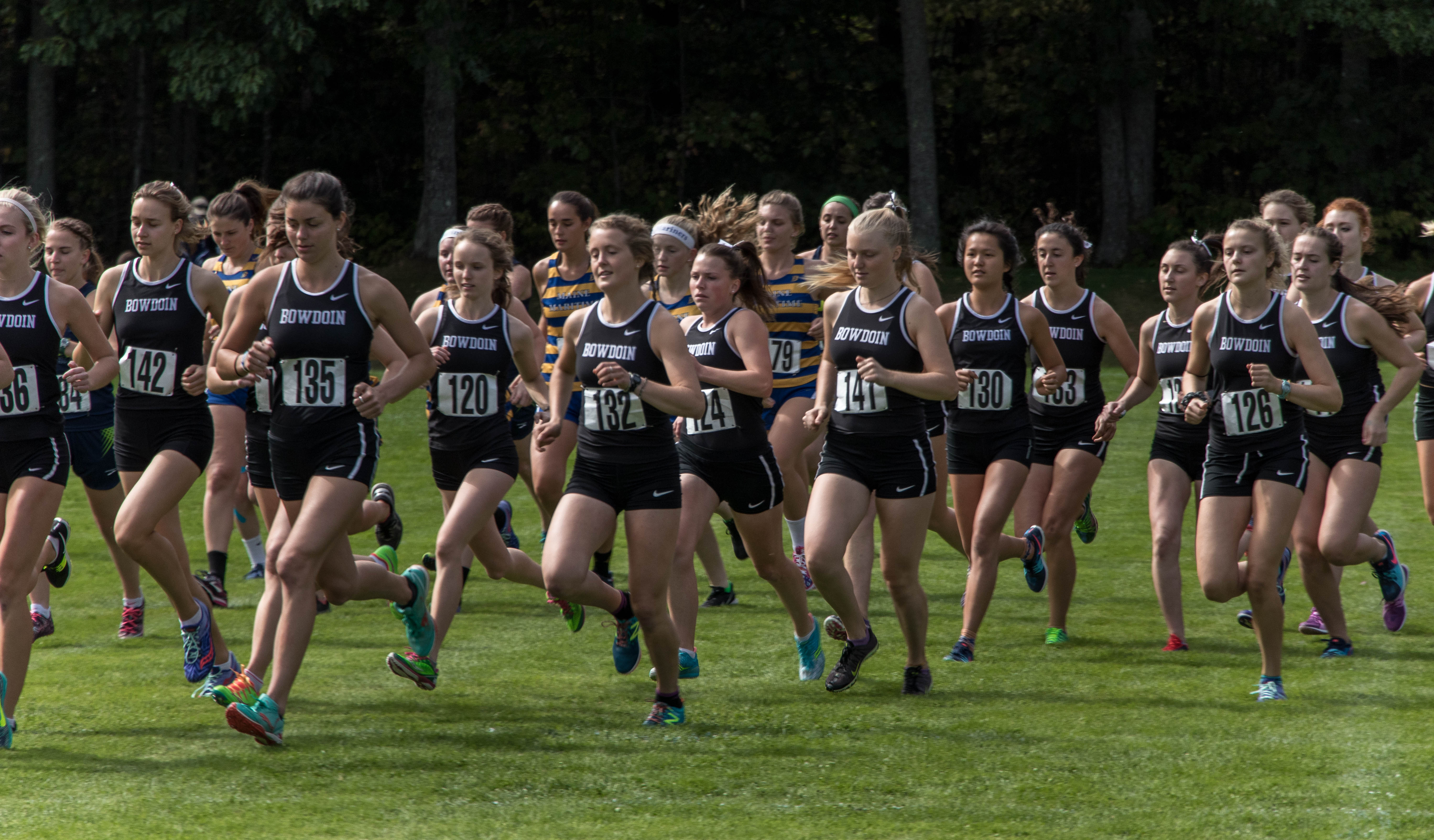 Torda leads cross country in New England Regionals The Bowdoin Orient