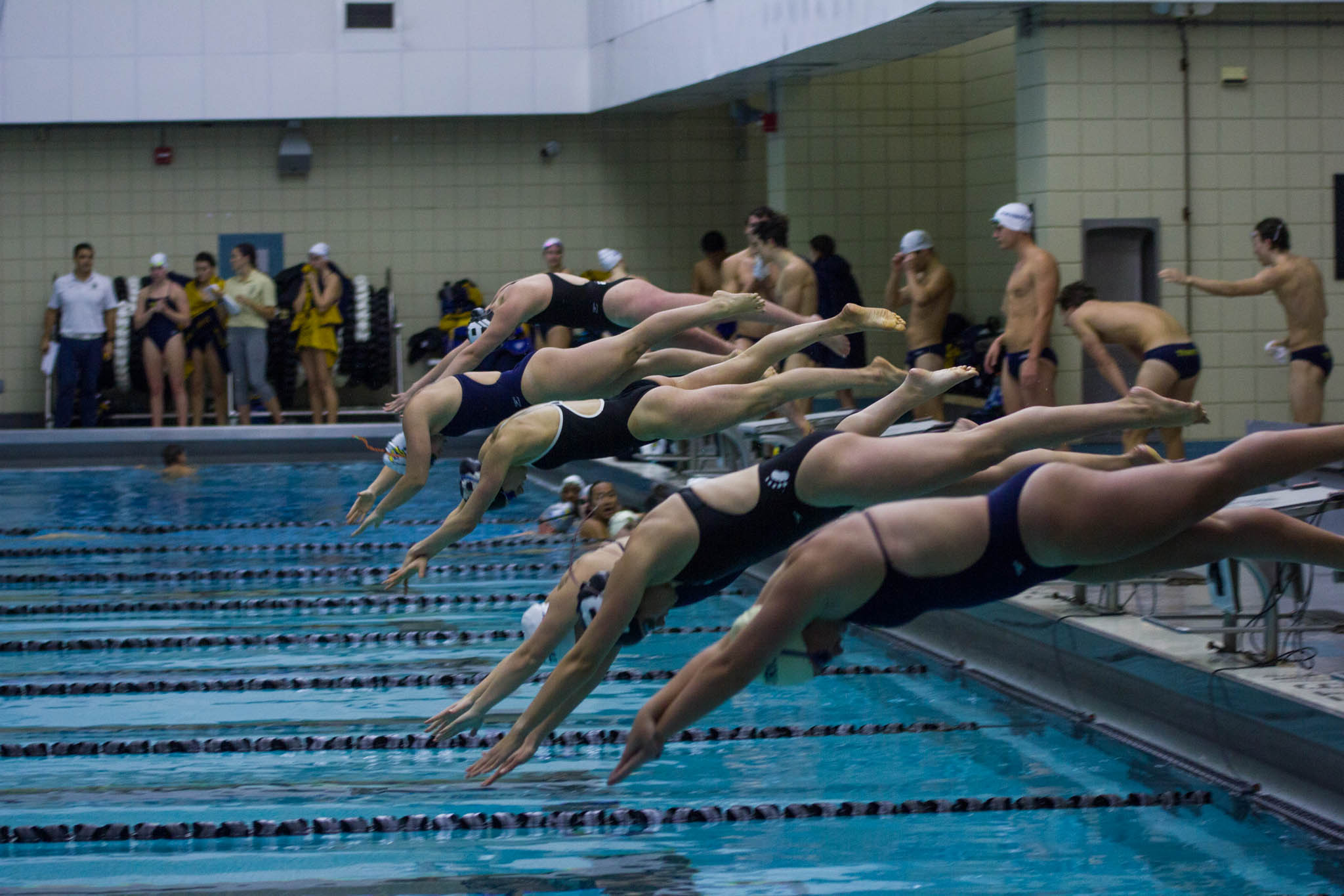 Swim and dive shows strong performance before NESCAC finals – The