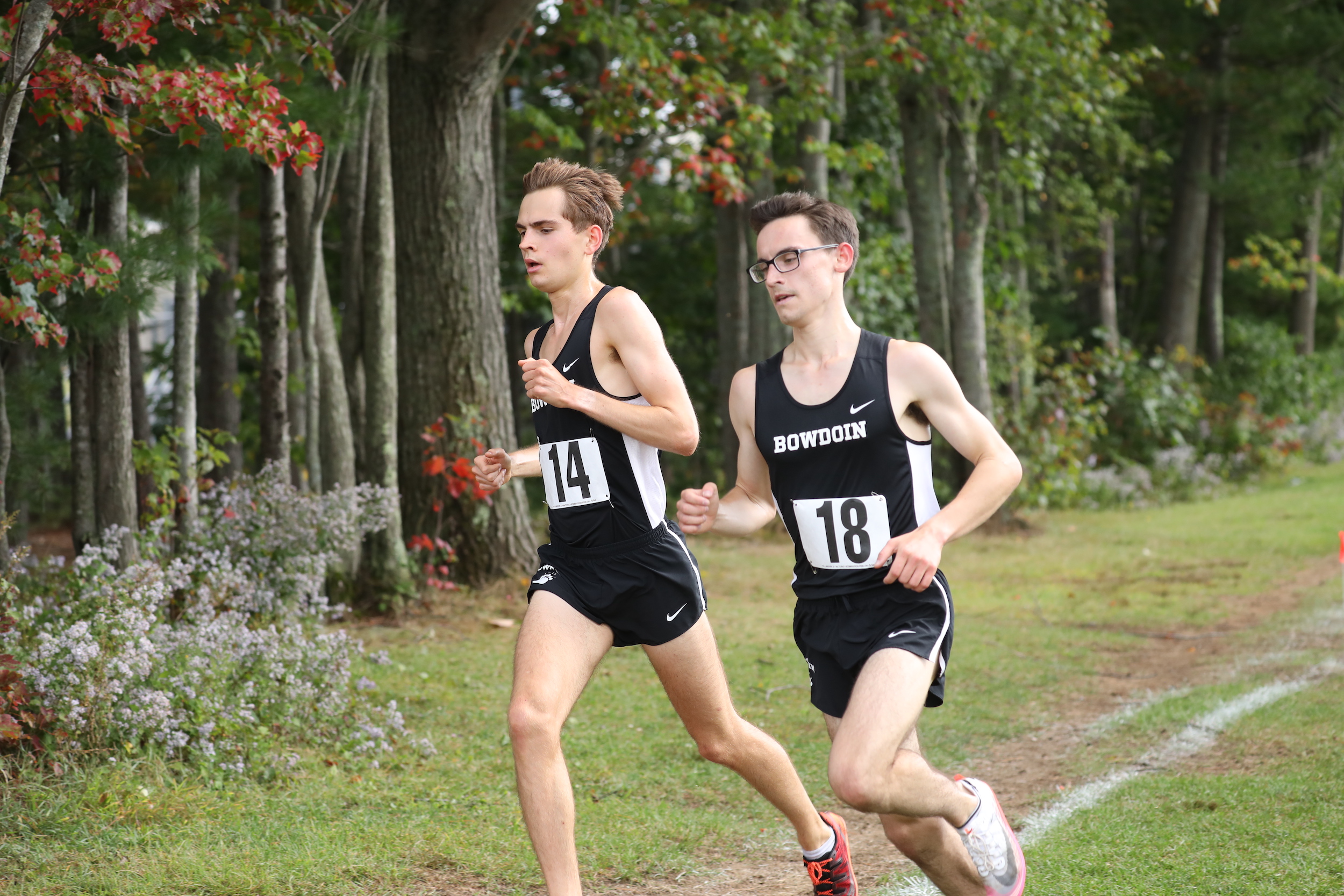 Cross-country runners shine at National Championship – The Bowdoin Orient - Vimarsana News